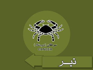 ماه تولد تیر