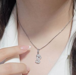 پلاک حروف اول اسم S کد 15395